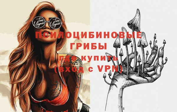 сатива Алексин