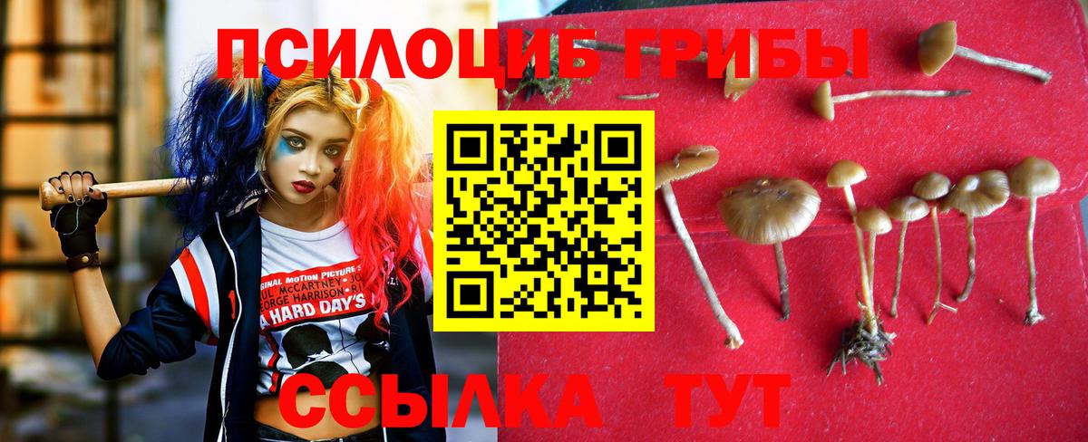 Калач-на-Дону  Галлюциногенные грибы Magic Shrooms  Вход с VPN 